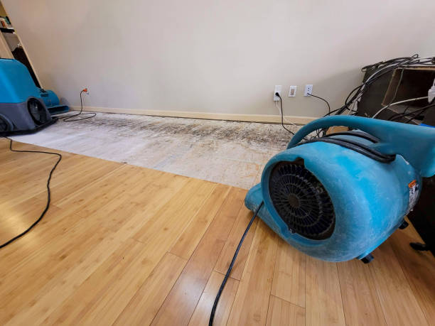 Professional Sewage Cleanup technician working in Edgewood, MD